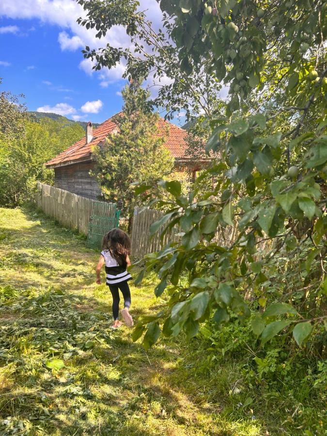 Holiday home Casuta Dede Buzau