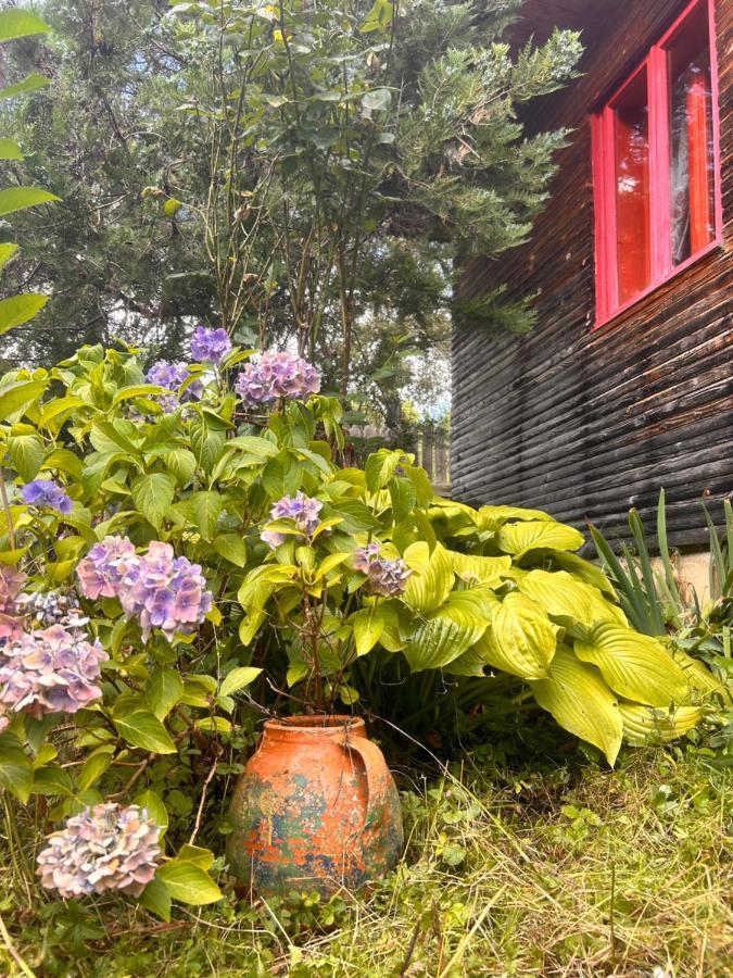 Casuta Dede Casa vacanze *