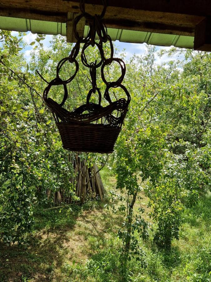 Casuta Dede Hébergement de vacances Buzău