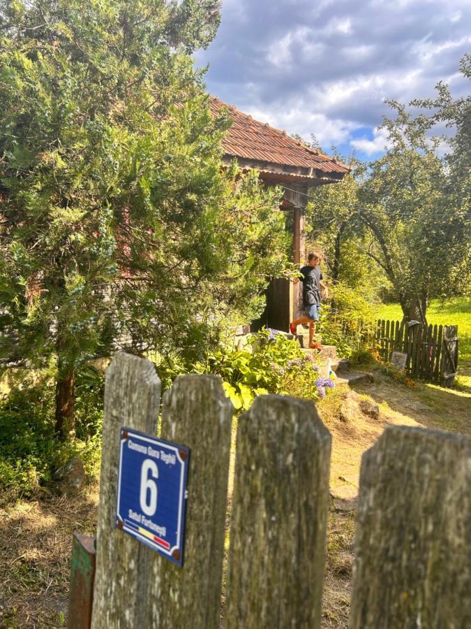 Casuta Dede Casa vacanze