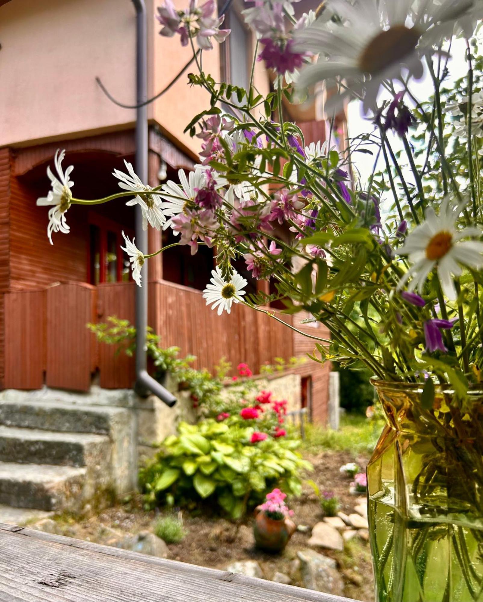 Casuta Dede Hébergement de vacances